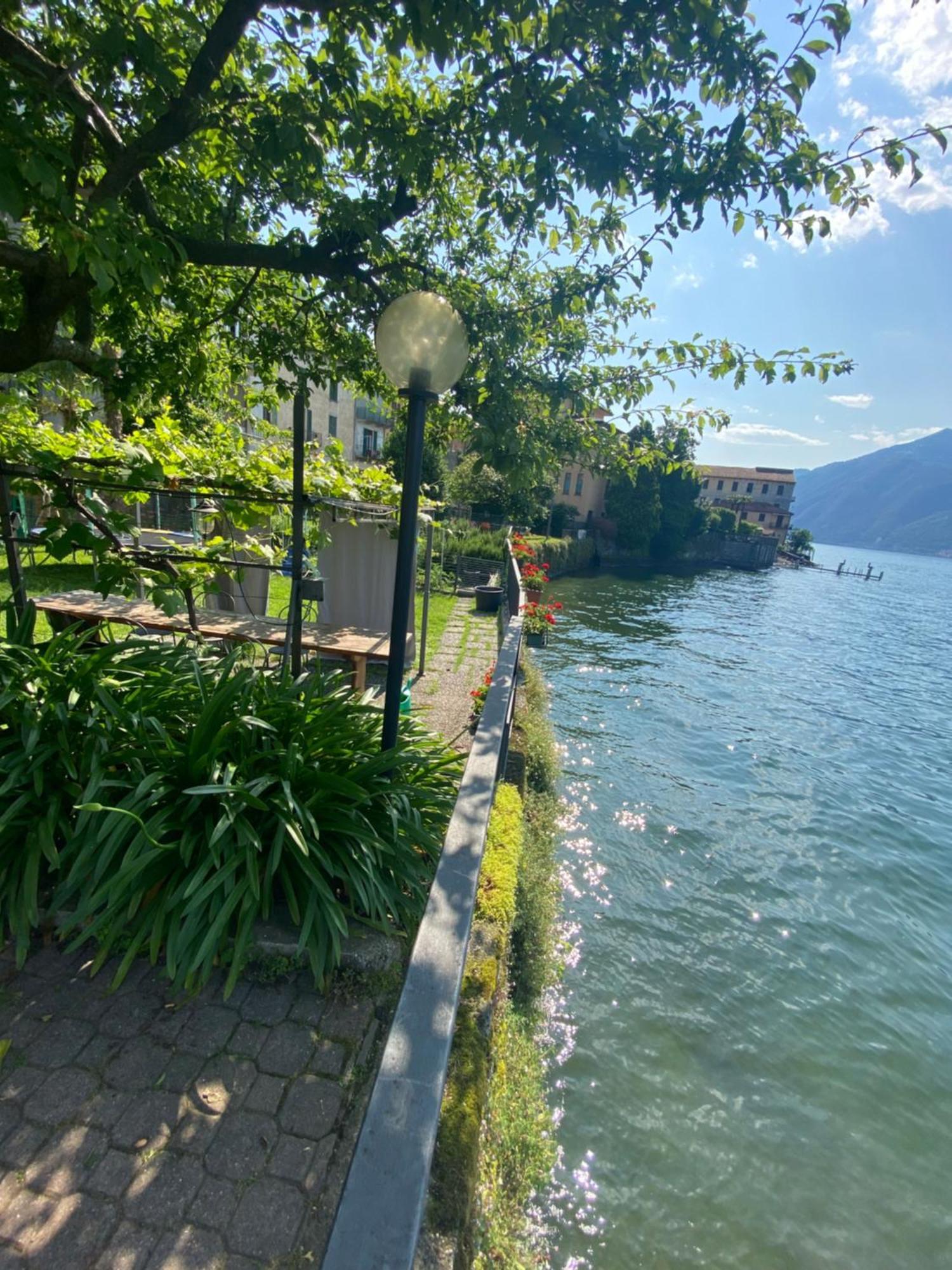 Peonia Apartment - Appartamento Vista Lago Lezzeno Exterior photo