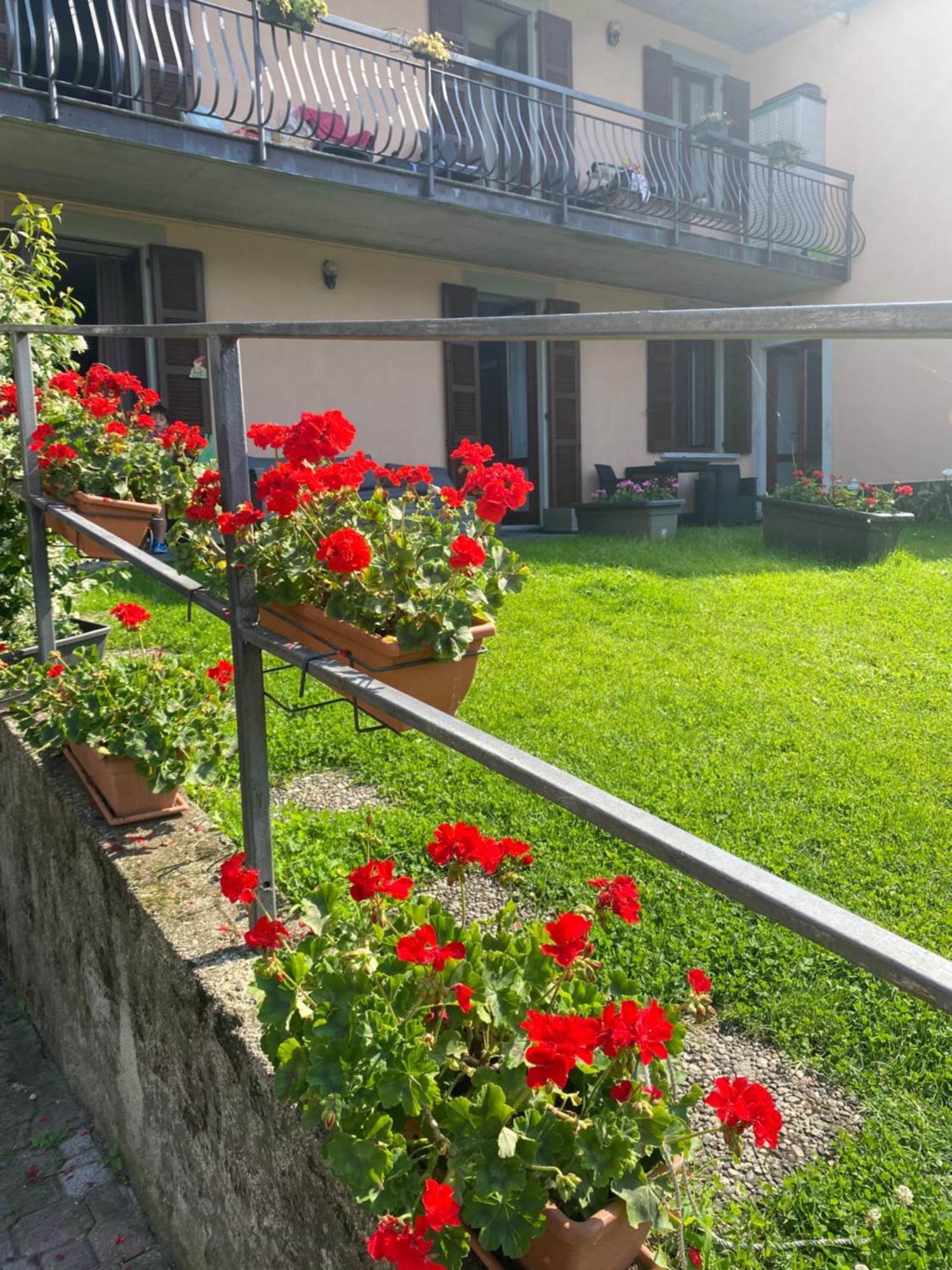 Peonia Apartment - Appartamento Vista Lago Lezzeno Exterior photo